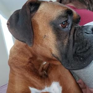 Meet your Posher, Vicky